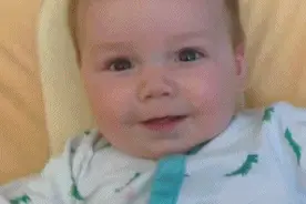 超萌组合：巴哥和宝宝Louie互动的日常图片