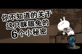 你不知道的关于这只眯眼兔的6个小秘密图片