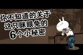 你不知道的关于这只眯眼兔的6个小秘密图片