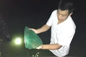 高州童年记忆之照田鸡图片