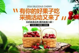 樱桃熟了，2016“有你的好果子吃”采摘活动又来了！图片