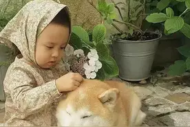 两个小胖子的幸福生活！图片