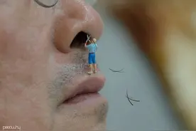 （摄影）微观摄影，忙碌的小人国图片