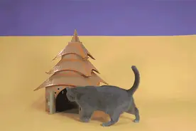 铲屎官注意了！用旧纸板让这些世界标志建筑变成你家的猫窝吧！图片