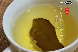 老茶鬼教你如何妙用美舌品茶汤美味图片