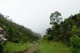 高州人间仙境—古丁镇天花顶风景区图片