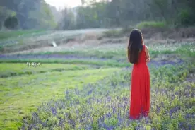 从5月开始，南昌这些全免费，这辈子都不用再花冤枉钱了！图片