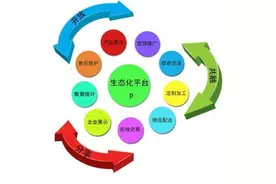 在中国，谁最先推介C2P?图片