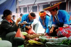 上海松江与湖北十堰柏林菜市场见闻实录图片