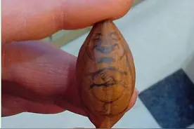 弥勒橄榄核核雕雕刻步骤图片