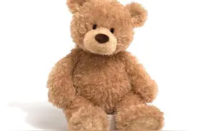 女孩都爱的泰迪熊为什么被叫做“泰迪”熊？里面的故事还蛮血腥的图片