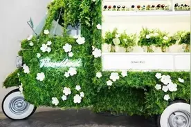 手机号码中间4位有几，保佑健康平安好运连连，财运大涨财富滚滚图片