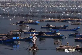 南澳海鲜干货 | 我们只是大海的搬运工！图片