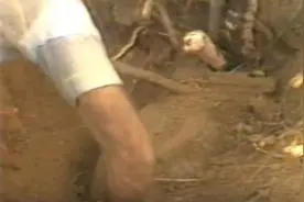 土里忽然发出怪异的声音，挖开一看竟发现极其少见的东西！图片