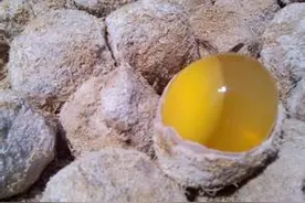 变蛋，河南人独有的美食，其实自己也能制作（附流程）图片