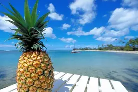 吃完菠萝后嘴巴都被“割”破皮？原来菠萝要“这么”吃才对啦！图片