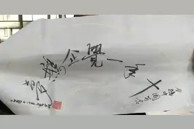 十年一觉企鹅梦：我的企鹅生活图片