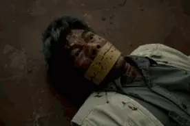 《踏血寻梅》：每一刀凌迟都是一次救赎！写给孤独的你的绝情书！图片