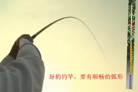 资深钓友实战中对钓竿的一点体验图片