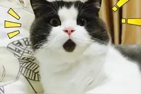 5月开始，深圳这些全免费，不用再花冤枉钱了！图片