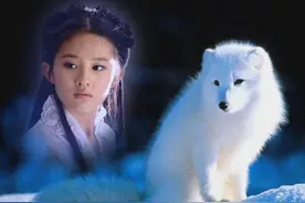 给“狐狸精”平反图片