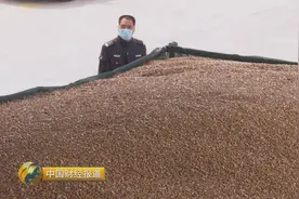 中国2亿吨临储玉米库存“挤爆”仓库 堪称“堰塞湖”！图片