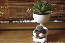 你一定没见过的奇葩花盆系列！图片