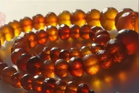 从产地看琥珀蜜蜡：没落的贵族——抚顺矿珀图片