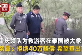 领队为救游客被大象踩死 家属：本是最后一次带团 明年准备生孩子图片
