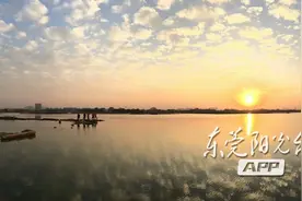 东莞出现“超级咸蛋黄” 看过它的人都赞不绝口图片
