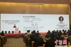 南丰梁锦松：粤港澳大湾区和杭州湾经济区应积极合作图片