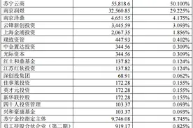 苏宁金服拟增资53.35亿元，马云参股的云峰新创10亿入股图片