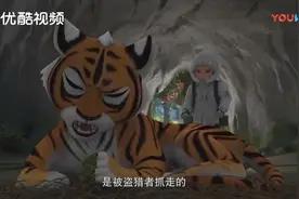 熊出没：虎妞还有个女儿叫藤球！难过的往事让虎妞不相信人类！