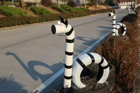 诸暨这个镇有创意！路边的废旧轮胎成了彩色“小动物”图片