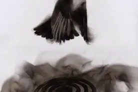 以烟入画，胜似水墨图片