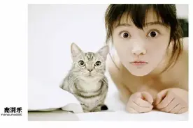 幻觉先生和他的猫小姐图片