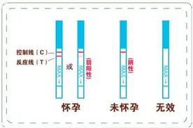 4方法提高验孕棒准确率90%图片