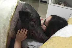 蜗牛妈教导小蜗牛，咱的壳是为了保护我们的。听完蛞蝓哭了！图片