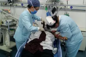 抢救生命  功夫在平时图片
