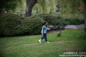 加拿大太美太迷人？嗯哼开心到脱鞋脱袜，网友：想问他脱裤子没？图片