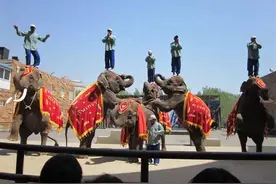 “无ZOO不欢”——这个“五一”，爱上被萌翻的感觉！图片