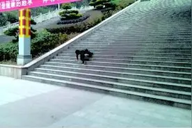 巴中籍退役特种兵匍匐跑挑战望王山阶梯图片