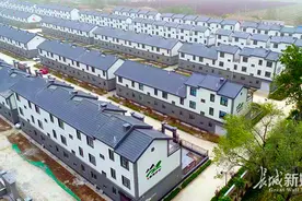 枣强县八里庄村：现代农业筑就绚丽“中国梦”图片