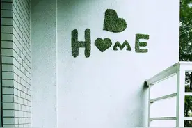 浙财大男生寝室打造“绿野仙踪”图片