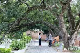 好消息！钦州这12个村荣获“自治区级生态村”称号，快来看看有你家乡吗图片