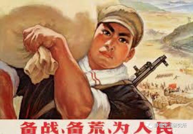 马薇薇说不吃碳水会变笨？美国国家医学院：这不科学