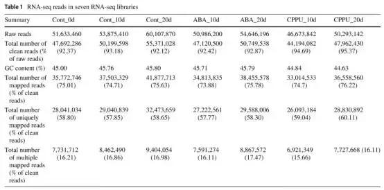 年度最新！云平台与荔枝的完美相汇
