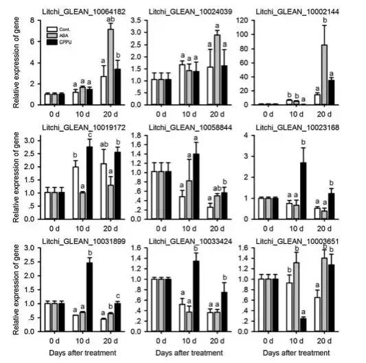 年度最新！云平台与荔枝的完美相汇