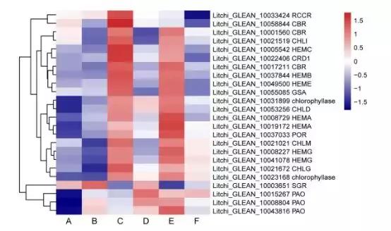 年度最新！云平台与荔枝的完美相汇