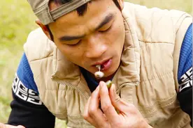 十二道配料炒石螺，一个人能吃三斤，太过瘾了